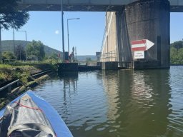 Mainschwimmen Juni 2026